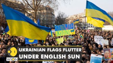 Ukraine under attack: Russians come out in support of Ukraine | Latest World  News | WION