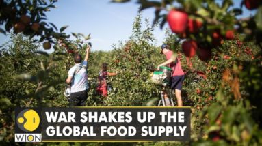 U.N. food chief warns of 'catastrophe' as war shakes up the global food supply | English News | WION