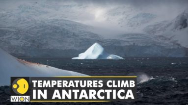 Temperatures soar by 30 degrees Celsius in Antarctica | WION Climate Tracker | World English News