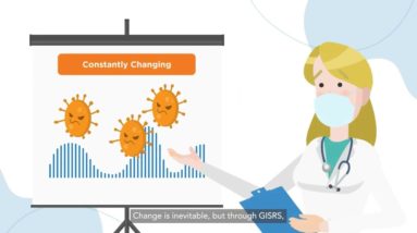 Monitoring influenza around the world: the Global Influenza Surveillance and Response System (GISRS)