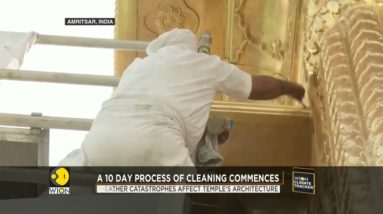 50 volunteers from UK reach India for cleaning the Golden Temple | World News | WION