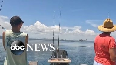 Family surprised by leaping great white shark