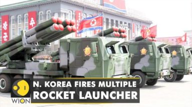 Tensions spike in the Korean peninsula after North Korea fires multiple rocket launcher | WION