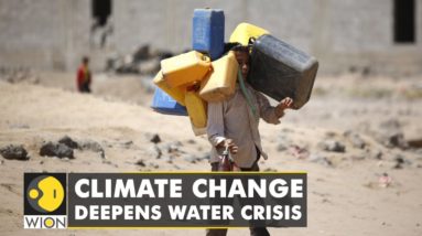 Jordan's worsening water crisis: Growing problem of water scarcity | WION Climate Tracker