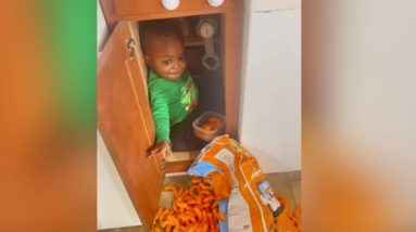 "Snack bandit" hides in cabinet