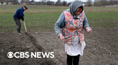 War in Ukraine war disrupts food supply