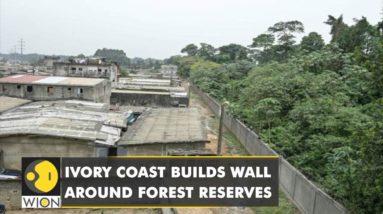 Ivory coast build 10 km long wall to protect trees | Latest English News | WION