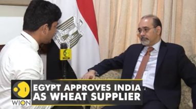 Egypt Okays Indian Wheat; Envoy Wael says, "Interested in building relations" | WION Exclusive