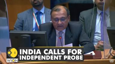 India condemns Bucha killings, supports independent investigation | Latest English News | WION