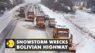 Snowstorm wrecks Bolivian highway leaving dozens of vehicles stranded | World English News | WION