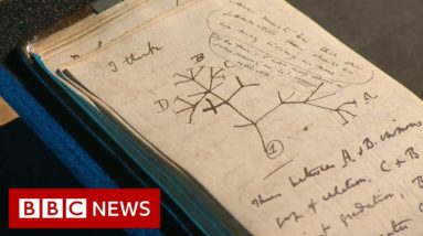 'Stolen' Charles Darwin notebooks left on library floor in pink gift bag - BBC News