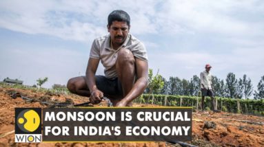 Good news for India's farm growth, India to receive normal monsoon rains | English News | WION