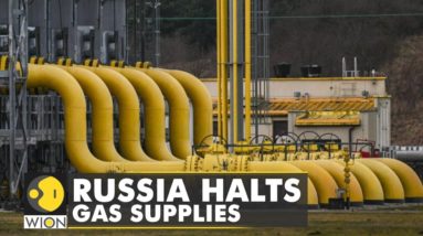 Russia halts gas supplies to 2 nations, wants gas payments in roubles | World News | WION