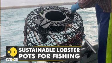 Fishermen in Australia switch to plastic-free fishing | Victoria fishermen clean up the shores |WION