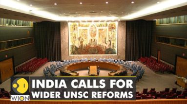 UN General Assembly adopts Veto draft: India calls for wider UNSC reforms | World English News