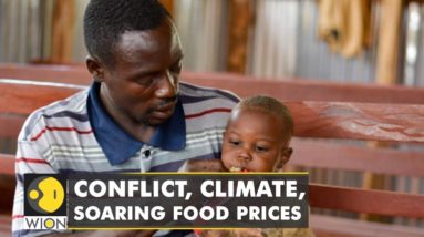 Africa: 346 million facing food insecurity; hunger crisis surge due to conflict, climate| World News