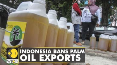 Economic fall out of Russia-Ukraine war: World's top oil producer Indonesia bans palm oil exports