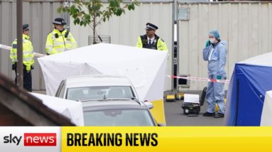 Man arrested for murder after four people stabbed to death in London