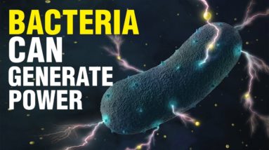 Methane-consuming bacteria can generate power