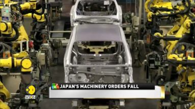 Japan wholesale prices rise 9.5% YOY | Business News | Latest English News | WION