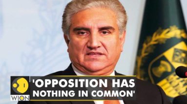 'Opposition destabilizing nation for greed,' Pakistan's foreign minister urges people to protest