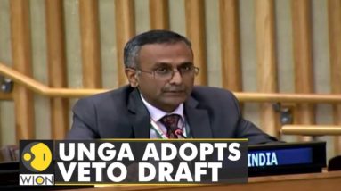 India calls out at UNGA resolution, 'VETO for all members or no one' | Latest English News | WION