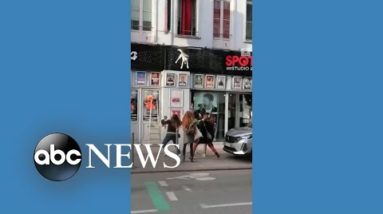 Pedestrians break dog's fall from building