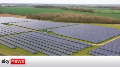 Solar power generation being ignored in the UK?