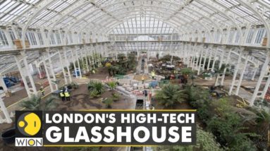 London's high-tech glasshouse: Smart glasshouse is currently growing 400 species | English News