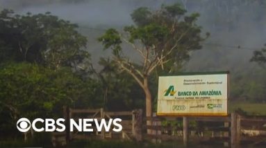 Threat to Amazon rainforest in Brazil driven by highway project