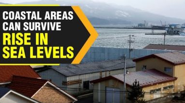 Climate crisis: How can coastal areas survive rise in sea level? | WION Originals