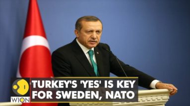 Sweden, Finland delegations hope to woo Turkey over NATO bid | Latest English News | WION