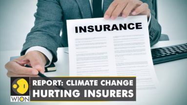 Impact of climate change on Insurance Industry, only 8% insurers prepared | WION