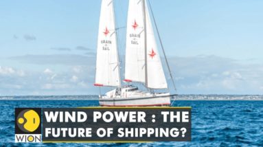 Grain De Sail: Cargo sailboat that runs on wind power | WION Climate Tracker | WION