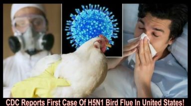 CDC Reports First Human Case Of Avian Influenza In U.S.!