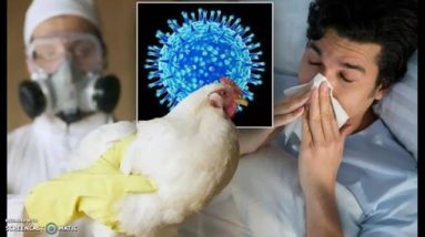 CDC Reports First Human Case Of Avian Influenza In U.S.!