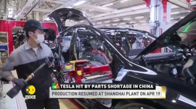 Tesla halts production at Shanghai plant amid Covid-19 surge | Automobile | World News | WION