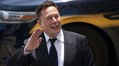 Elon Musk says he would reverse former President Trump's twitter ban