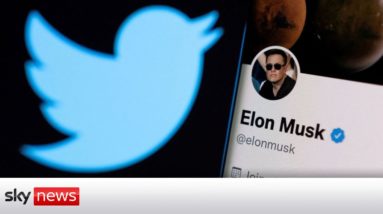 Elon Musk says Twitter's ban on Trump is 'morally bad'