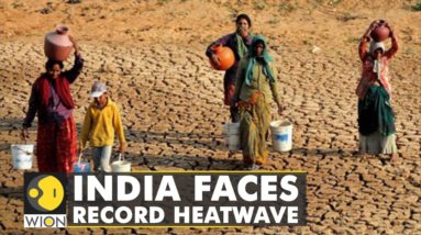 Northern parts of India face cases of Vector-borne disease due to record heatwave | WION