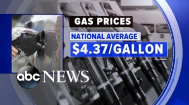 Gas prices reach new record high amid Wall Street turbulence