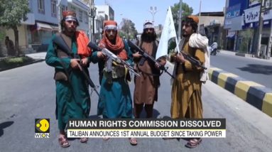 'Unnecessary,' Taliban shuts Afghanistan's human rights commission, other key bodies | WION