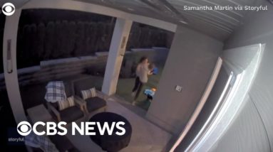 Mom saves toddler from backyard bear