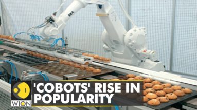 WION Fineprint | Collaborative robots set to transform food industry | World News