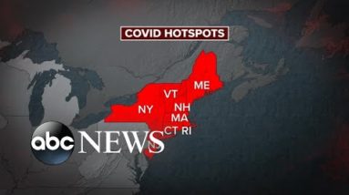 New COVID-19 hotspots emerge as US reports rise in cases