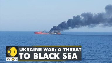 Ukraine-Russia war polluting Black and Azov Sea, marine life bears the brunt | WION Climate Tracker