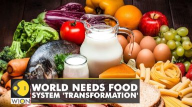 Research: Food is fundamental to tackle climate change | WION Climate Tracker | Latest English News