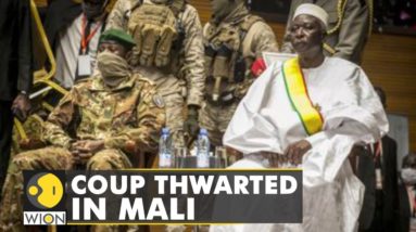 Mali: Military officers colluded with West, no evidence of coup so far | World News | WION