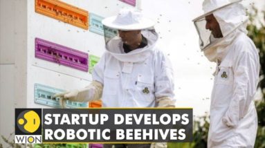 Israel: Start-Up creates robotic beehives to prevent collapse of colonies| Latest English News| WION