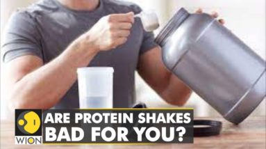 The Good Life: Has protein become a crucial ingredient for healthy living | World News | WION